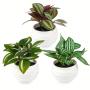 3 Artificial Green Potted Plants, 3 Combinations for Home Decoration, Maintenance Free Plants, Foliage Potted Plants, Indoor Bathroom Countertop Decoration Potted Plants