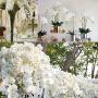 9-Head Lifelike Artificial Orchid Flowers, Plastic Phalaenopsis Plant for Anniversary, Wedding, Engagement, Home Decor - No Container Included