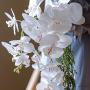 9-Head Lifelike Artificial Orchid Flowers, Plastic Phalaenopsis Plant for Anniversary, Wedding, Engagement, Home Decor - No Container Included