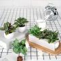 3 Artificial Green Potted Plants, 3 Combinations for Home Decoration, Maintenance Free Plants, Foliage Potted Plants, Indoor Bathroom Countertop Decoration Potted Plants