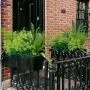 18pcs UV Protected Artificial Boxwood Stems - Evergreen Faux Greenery for Indoor/Outdoor Hanging, Garden, Porch, Window Box, and Home Wedding Decor - Perfect Get Well Gift