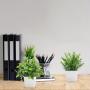 [Artificial Plants in White Pot] 8 Pack Small Artificial Plants - Fake Plants Potted in White Pot for Home Office Bedroom Desk Bathroom Shelf Farmhouse Decoration