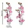2 Branches de Pivoines Artificielles en Pots, Fleurs Plastiques Fausse, Décoration Polyvalente pour la Maison, le Bureau, la Tabletop, Sans Nécessité de Batterie, pour Noël, Halloween, Thanksgiving, Saint-Valentin, Anniversaire des Mamans 2 Branches de Pivoines Artificielles en Pots, Fleurs Plastiques Fausse, Décoration Polyvalente pour la Maison, le Bureau, la Tabletop, Sans Nécessité de Batterie, pour Noël, Halloween, Thanksgiving, Saint-Valentin, Anniversaire des Mamans