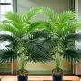 [High-End Giant] Giant Simulation Plants - 2 Bundles, 18 Large Leaves, High-End - Indoor & Outdoor Decoration for Thanksgiving, Weddings, Hotels, Gardens