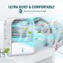AQUEENLY Portable Cooling Fan with Cold Air, Rechargeable Evaporative Air Cooler with 3 Speed & 2 Mist Mode, Quiet Humidifying Desk Fan Personal Air Conditioner Fan for Bedroom Office Home, USB Cable
