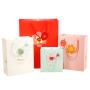 Hot Selling Colorful Printing Paper Bag For Gift Packaging With Handles And Custom Logo