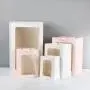 Wholesale New Design Luxury Portable Window White Card Paper Gift Bags With Handles