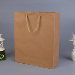 Luxury Brand Retail Gold Hot Stamping Logo Boutique Gift Kraft Paper Shopping Bag