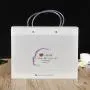 Customized Shopping Gift Bag Luxury Pet Bag Transparent Pvc Plastic Bag Customized Shopping Gift Bag Luxury Pet Bag Transparent Pvc Plastic Bag