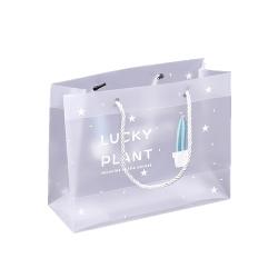 Wholesale High Quality Low Price Transparent Clear Plastic Pet Pvc Bag With Custom Logo