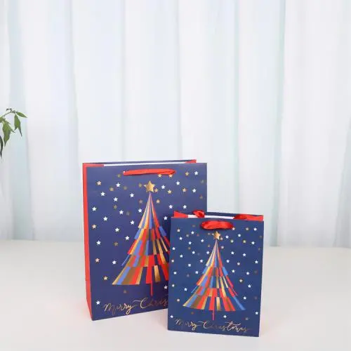 Hot Selling High Quality Reasonable Christmas Paper Gift Bag For Packaging With Custom Logo Hot Selling High Quality Reasonable Christmas Paper Gift Bag For Packaging With Custom Logo