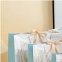 Wholesale Hot Selling Reasonable Good Quality Paper Bags Gift Packaging With Ribbon Tie Handle