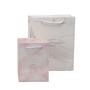 Customized High Quality Eco-friendly Portable Different Sizes Printed Paper Garment Bag Packaging