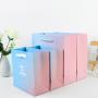 Wholesale Custom Colorful Printing Fancy Paper Gift Bag Packaging With Handles