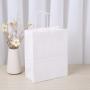 Luxury Paper Kraft Bag Handle Gift Bags Custom Shopping Paper Bag With Logo