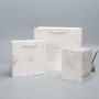 Customized High Quality Eco-friendly Portable Different Sizes Printed Paper Garment Bag Packaging