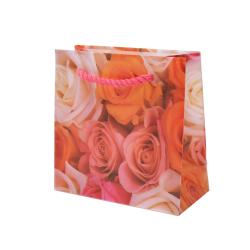 High Quality Custom Logo Easy Shipping Plastic Gift Bag Printed Plastic Bag With Handle
