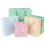 Handmade Wholesale Low Price Delicate Colorful Paper Gift Bag Packaging With Custom Own Logo