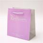 High Quality Custom Logo Easy Shipping Plastic Gift Bag Printed Plastic Bag With Handle