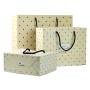 Manufacture Custom Logo Luxury Good Quality Simple Paper Gift Bags Packaging For Shopping