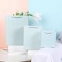Special Design High Quality Different Colors Delicate Boutique Shopping Paper Gift Bags With Custom Own Logo