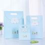 Customized Wholesale Low Price Easy Shipping Creative Colorful Printing Recycled Paper Gift Bags With Logo Print