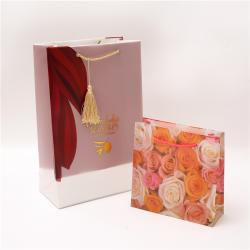 High Quality Gift Bags Plastic Custom Logo Eco Friendly Pp Gift Bags With Handle