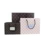 Wholesale Hot Selling Universal Rectangular Paper Gift Bag Packaging With Custom Design Logo