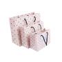 Wholesale Hot Selling Universal Rectangular Paper Gift Bag Packaging With Custom Design Logo