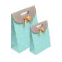 High Quality Custom Logo Colorful Printing Delicate Paper Bag Gift Packaging With Handle