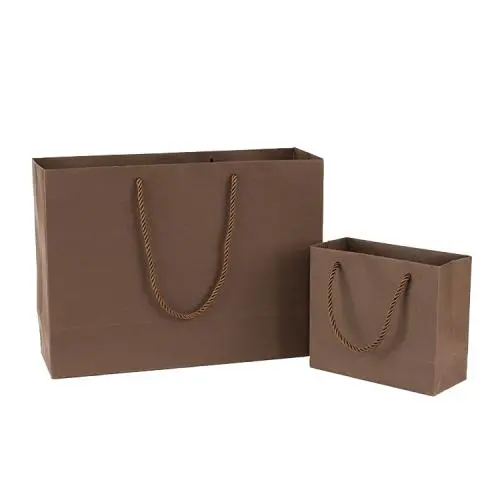 Wholesale Simple Eco Premium Clothing Shopping Paper Gift Bag With Custom Printing Logo Wholesale Simple Eco Premium Clothing Shopping Paper Gift Bag With Custom Printing Logo