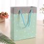 Low Price Delicate Trendy Universal Good Quality Printed Paper Bags Packaging With Handles