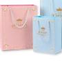 Wholesale Hot Selling Luxury Delicate Recycled Paper Gift Packaging Bags With Custom Logo