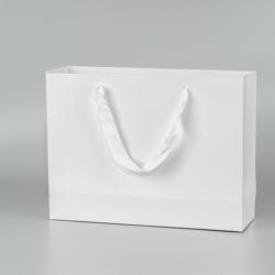 Wholesale Simple Eco Premium Clothing Shopping Paper Gift Bag With Custom Printing Logo