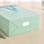 Low Price Delicate Trendy Universal Good Quality Printed Paper Bags Packaging With Handles