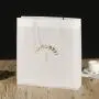 Customized Shopping Gift Bag Luxury Pet Bag Transparent Pvc Plastic Bag Customized Shopping Gift Bag Luxury Pet Bag Transparent Pvc Plastic Bag