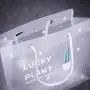 Wholesale High Quality Low Price Transparent Clear Plastic Pet Pvc Bag With Custom Logo