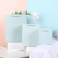 Special Design High Quality Different Colors Delicate Boutique Shopping Paper Gift Bags With Custom Own Logo