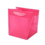 CMYK Bag Your Own Logo PP Handle Plastic Printed Customized Screen Printing Clear Plastic Package Bag Environmental Gift & Craft