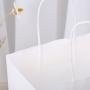 Luxury Paper Kraft Bag Handle Gift Bags Custom Shopping Paper Bag With Logo