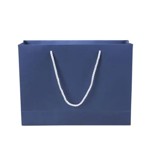 Wholesale Simple Eco Premium Clothing Shopping Paper Gift Bag With Custom Printing Logo Wholesale Simple Eco Premium Clothing Shopping Paper Gift Bag With Custom Printing Logo