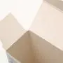 Gestaltung von Kartonverpackungen für maßgeschneiderte Masken-Hautpflegeprodukte – Druckschachtel
