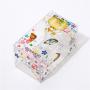 Customized Logo Color Printing Transparent Clear Plastic Pet Pvc Gift Box Packaging