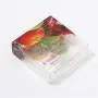Customized  portable vegetable  transparent clear plastic pet pvc box with own logo