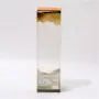 Wholesale hot selling easy shipping clear plastic pet pvc clear box for packaging custom logo Wholesale hot selling easy shipping clear plastic pet pvc clear box for packaging custom logo
