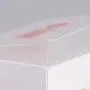Angepasstes Design Einfach Klar Transparente Kunststoff-Frosting-Pet-PVC-Verpackungskarton für Gesichtsreiniger