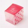 Custom Plastic Transparent Packaging Box Pp Pet Pvc Foldable Gift Boxes