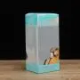 Großhandel mit klaren, rechteckigen, tragbaren Kunststoff-PVC-Verpackungskisten für den täglichen Gebrauch mit individuellem Logo.