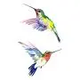Autocollants temporaires de colibris WYUEN 12 pièces pour femmes et hommes, art corporel, adultes, étanches, faux tatouages, 9,8 x 6 cm (FW12-13)