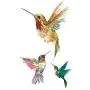 Autocollants temporaires de colibris WYUEN 12 pièces pour femmes et hommes, art corporel, adultes, étanches, faux tatouages, 9,8 x 6 cm (FW12-13)